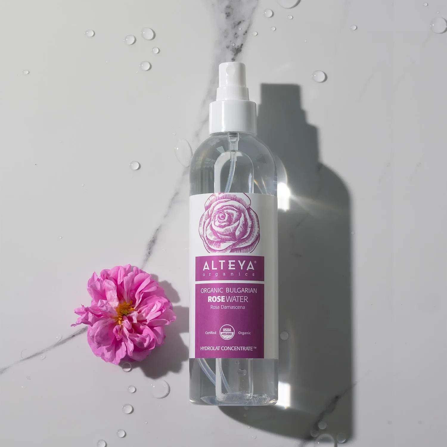 Organic Bulgarian Rose Water Toner Mist - 8.5 Fl Oz